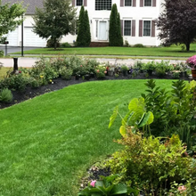 Load image into Gallery viewer, 🌱 Evergreen dwarf grass seed for four seasons | Create your perfect lawn here