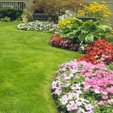 Load image into Gallery viewer, 🌱 Evergreen dwarf grass seed for four seasons | Create your perfect lawn here