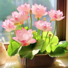 Load image into Gallery viewer, 💐The Sacred Bonsai Bowl Lotus Flower
