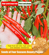 Load image into Gallery viewer, World&#39;s Best Selling Chili Seeds