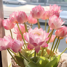 Load image into Gallery viewer, 💐The Sacred Bonsai Bowl Lotus Flower