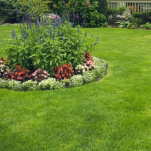 Load image into Gallery viewer, 🌱 Evergreen dwarf grass seed for four seasons | Create your perfect lawn here