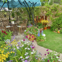 Load image into Gallery viewer, Mixed Perennial Flowers for All Seasons – 70+ Kinds