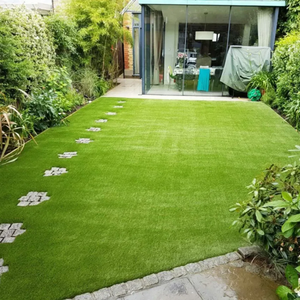 🌱 Evergreen dwarf grass seed for four seasons | Create your perfect lawn here