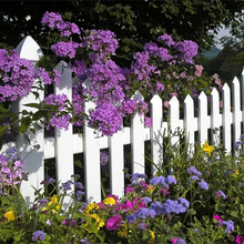 Load image into Gallery viewer, Mixed Perennial Flowers for All Seasons – 70+ Kinds