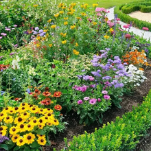 Load image into Gallery viewer, Mixed Perennial Flowers for All Seasons – 70+ Kinds