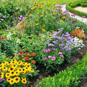 Mixed Perennial Flowers for All Seasons – 70+ Kinds