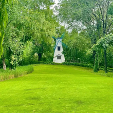 Load image into Gallery viewer, 🌱 Evergreen dwarf grass seed for four seasons | Create your perfect lawn here