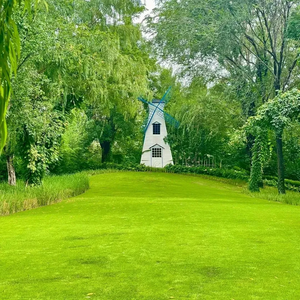 🌱 Evergreen dwarf grass seed for four seasons | Create your perfect lawn here