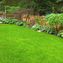 Load image into Gallery viewer, 🌱 Evergreen dwarf grass seed for four seasons | Create your perfect lawn here